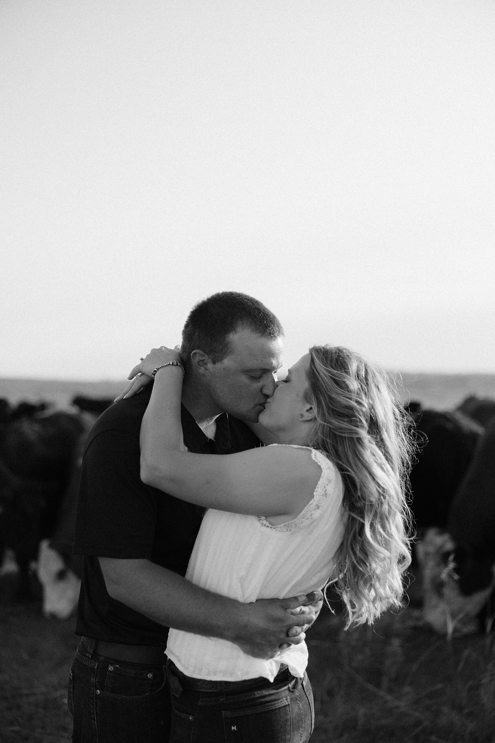A couple kissing in front of show cattle.