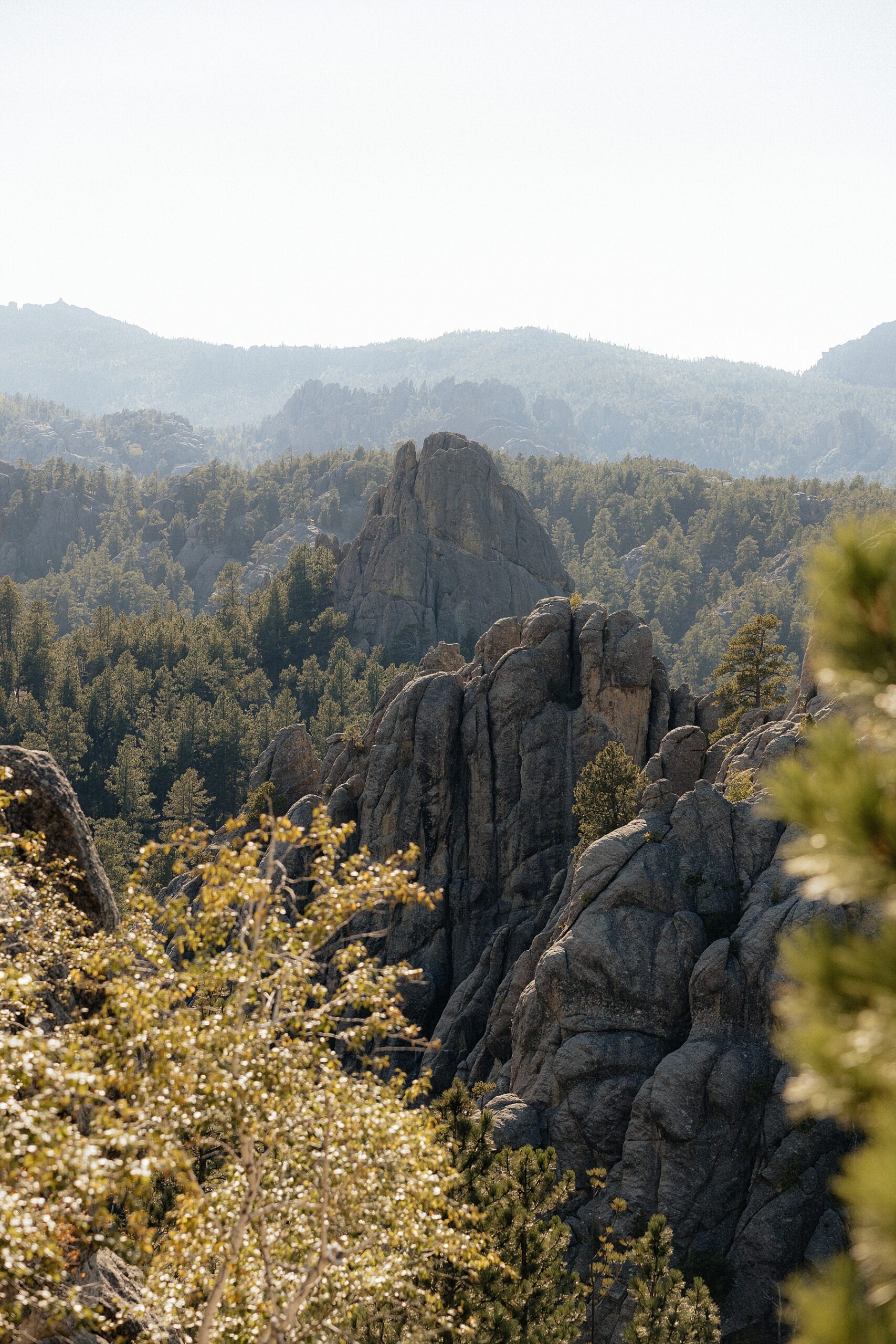 The Black Hills at Breezy Point Picnic Area.
