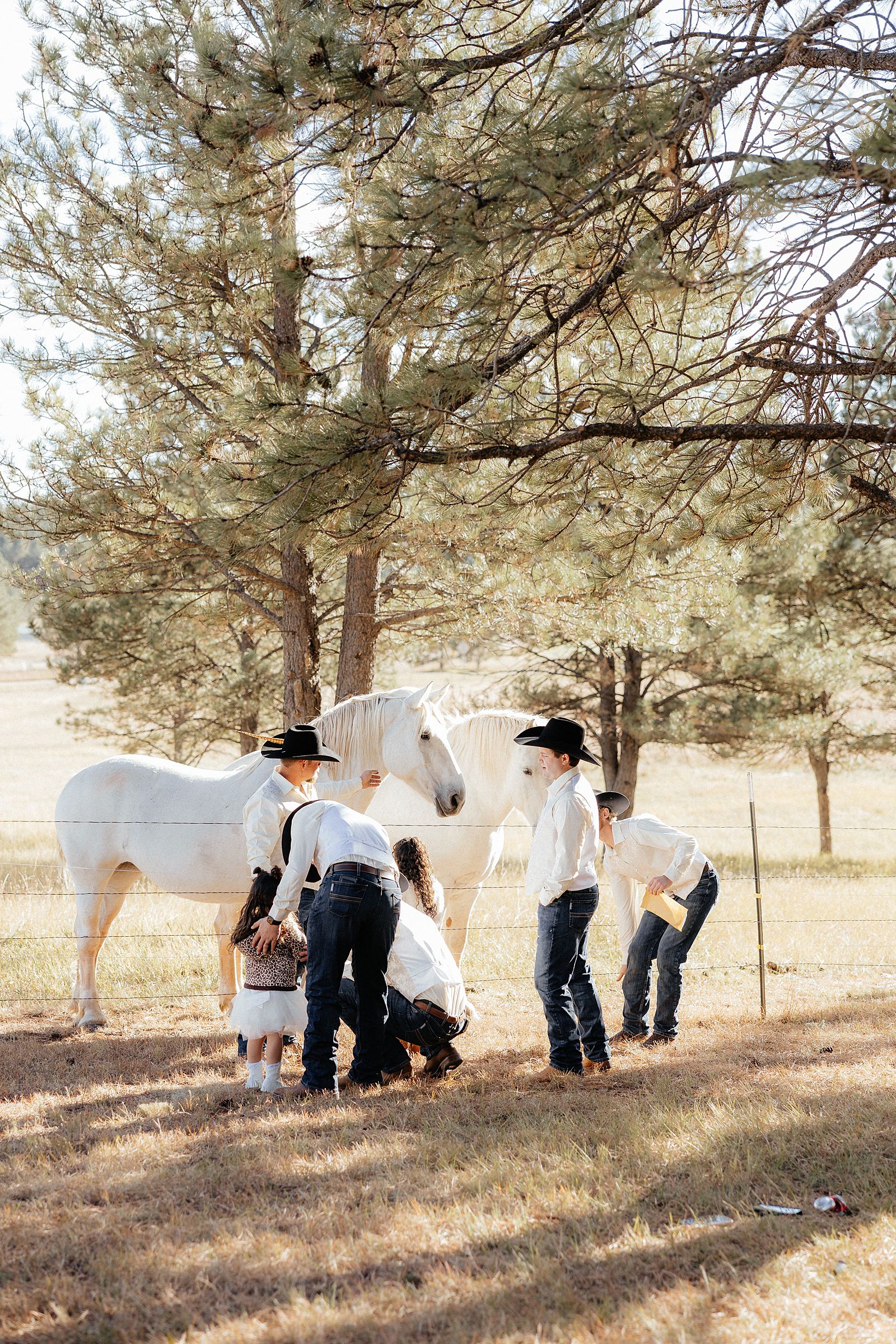 Groomsmen petting horses at a wedding.